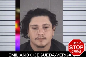 Emiliano Ocegueda-Vergara mugshot