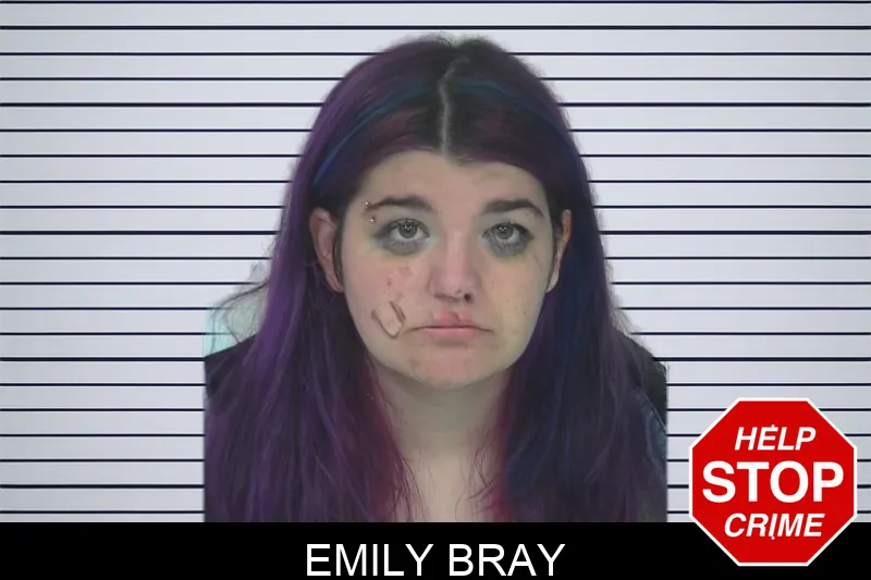 Emily Bray mugshot – Fayette County , Georgia Emily Bray mugshot
