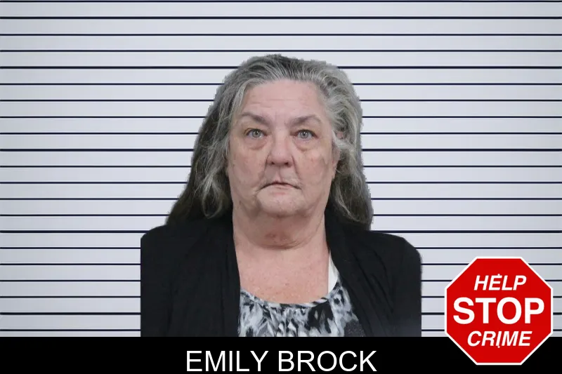 Emily Brock mugshot