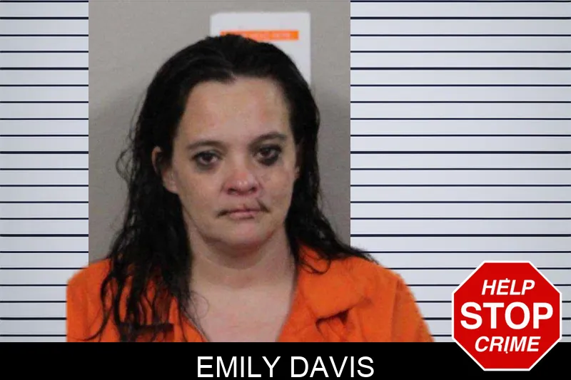 Emily Davis mugshot