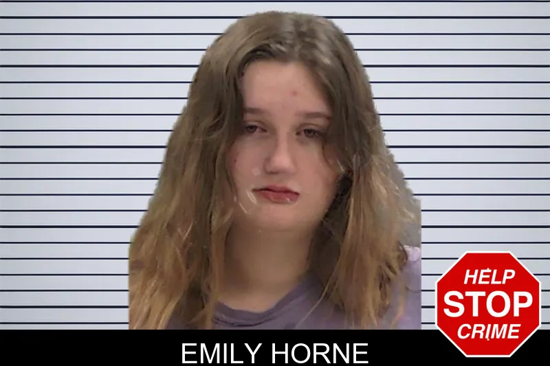 Emily Horne mugshot – Baldwin County , Georgia Emily Horne mugshot