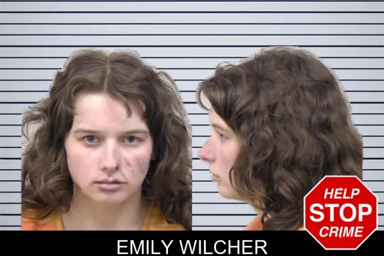 Emily Wilcher mugshot – Paulding County , Georgia Emily Wilcher