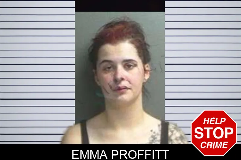 Emma Proffitt mugshot – Crisp County , Georgia Emma Proffitt mugshot