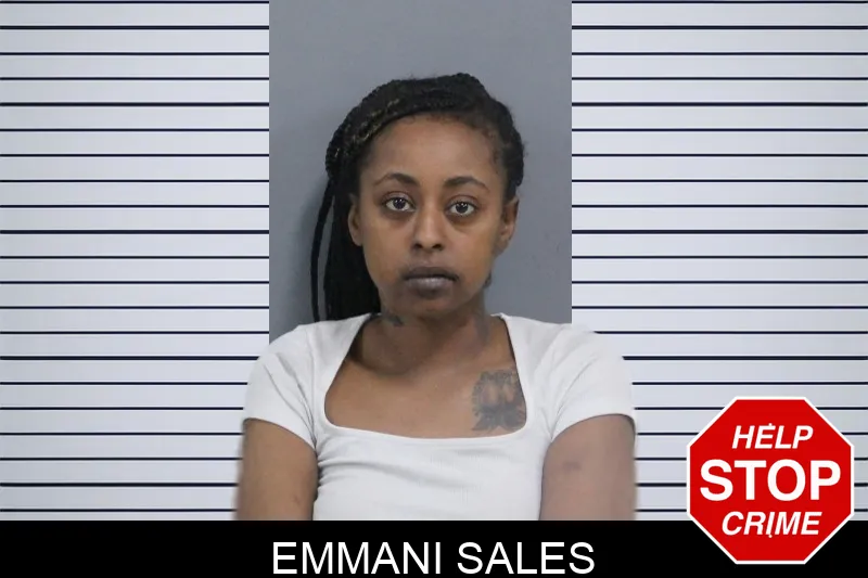 Emmani Sales mugshot – Catoosa County , Georgia Emmani Sales mugshot