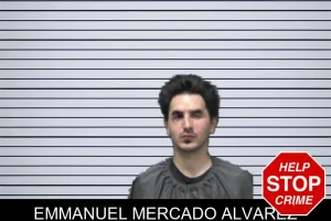 Emmanuel Mercado Alvarez mugshot
