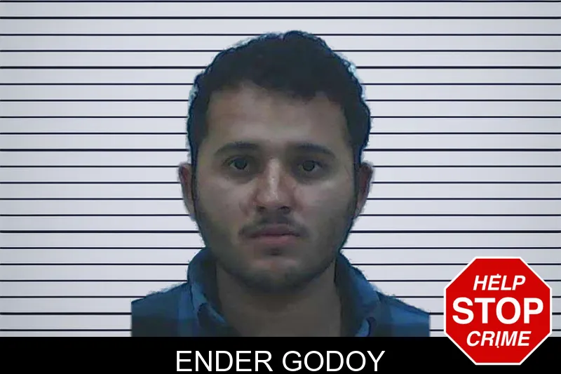 Ender Godoy mugshot