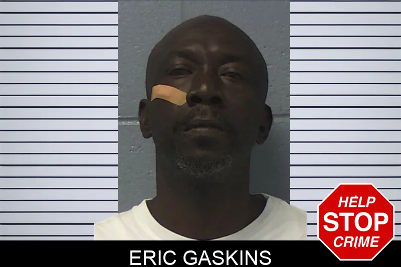 Eric Gaskins mugshot – Ware County , Georgia Eric Gaskins mugshot