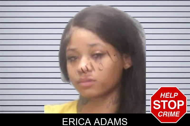 Erica Adams mugshot
