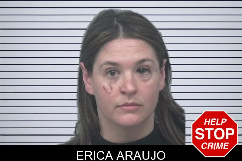 Erica Araujo mugshot