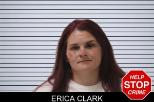 Erica Clark mugshot