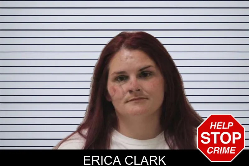 Erica Clark mugshot