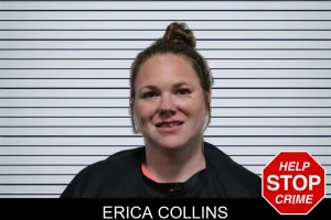 Erica Collins mugshot