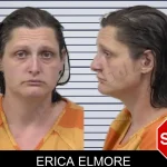 Erica Elmore mugshot – Paulding County , Georgia Erica Elmore mugshot
