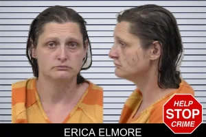 Erica Elmore mugshot