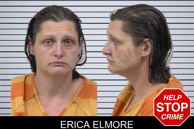 Erica Elmore mugshot
