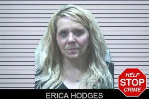 Erica Hodges mugshot