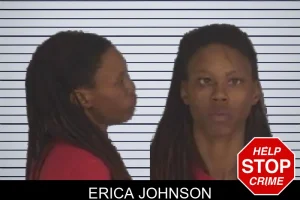 Erica Johnson mugshot