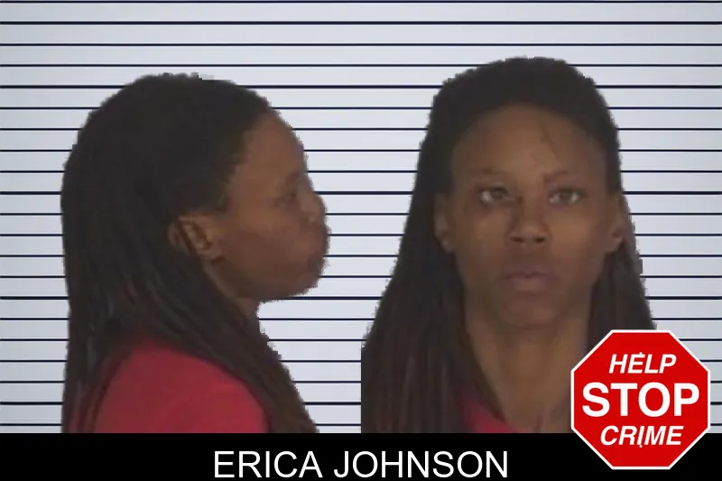 Erica Johnson mugshot – Barrow County , Georgia Erica Johnson mugshot