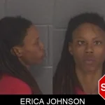 Erica Johnson mugshot