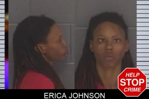 Erica Johnson mugshot