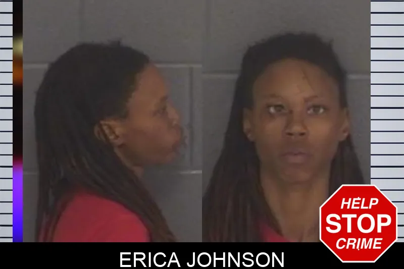 Erica Johnson mugshot