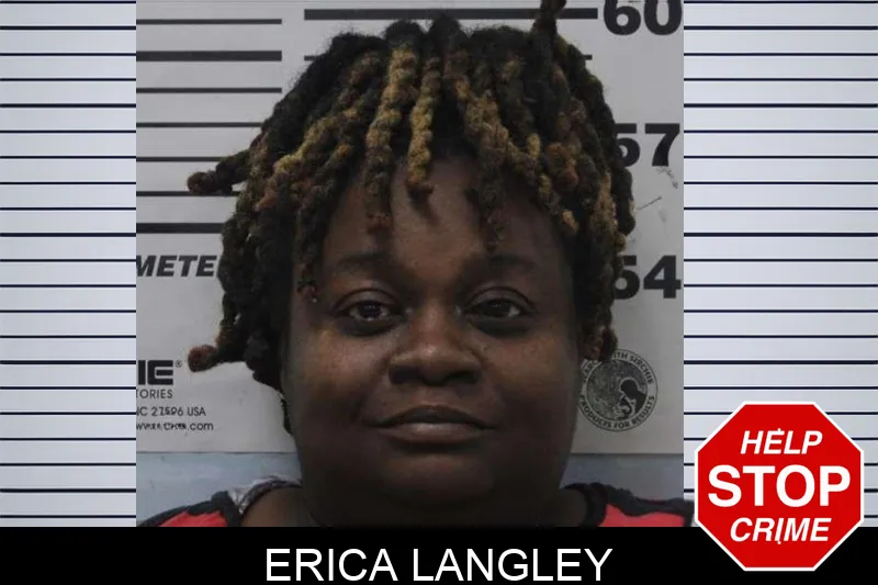 Erica Langley mugshot