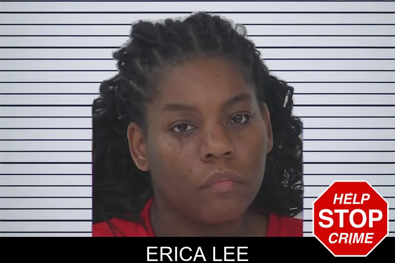Erica Lee mugshot