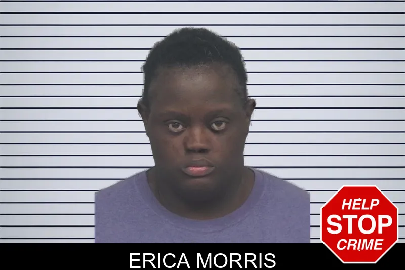 Erica Morris mugshot – Gwinnett County , Georgia Erica Morris mugshot