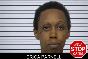 Erica Parnell mugshot