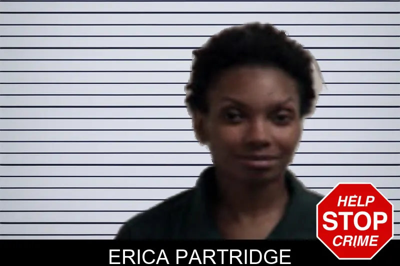 Erica Partridge mugshot