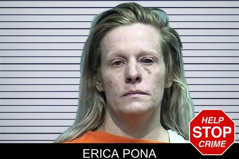Erica Pona mugshot – Effingham County , Georgia Erica Pona