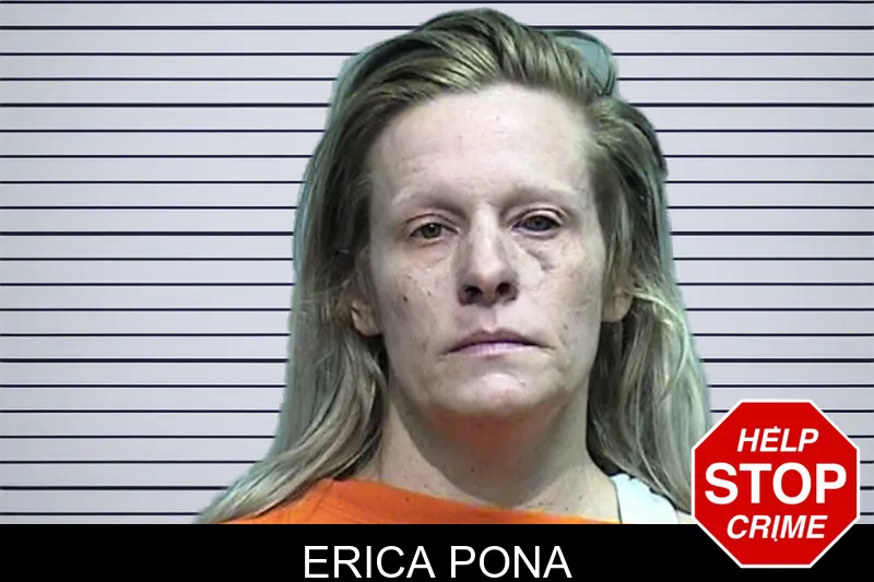 Erica Pona mugshot