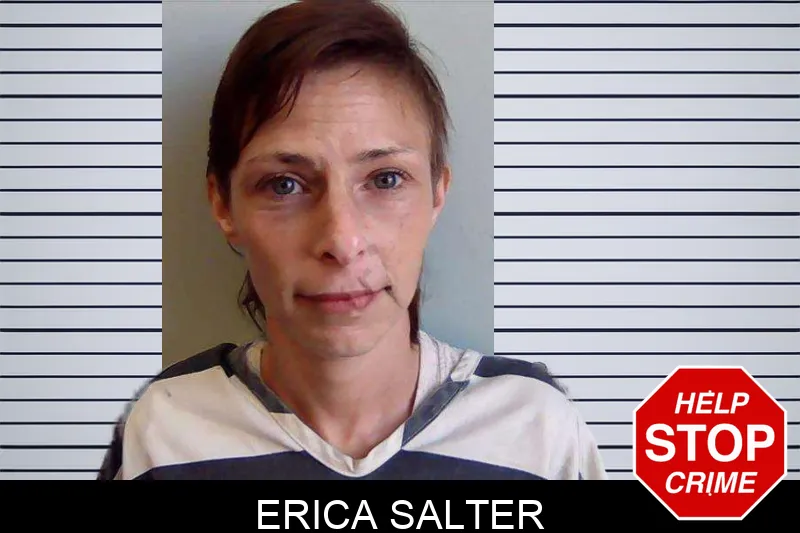 Erica Salter mugshot – Evans County , Georgia Erica Salter mugshot
