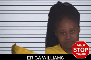 Erica Williams mugshot
