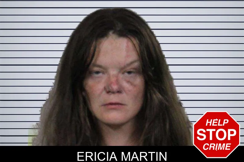 Ericia Martin mugshot