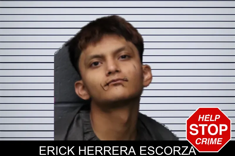 Erick Herrera Escorza mugshot