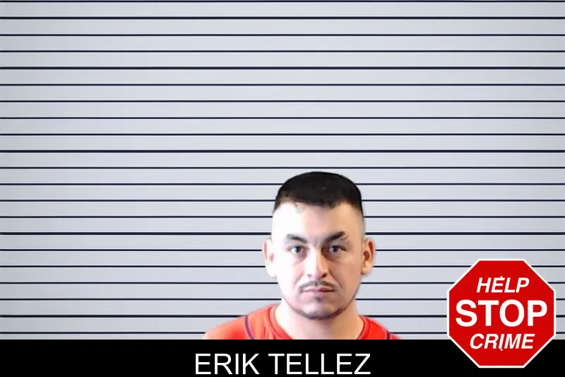 Erik Tellez mugshot