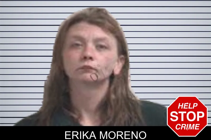 Erika Moreno mugshot