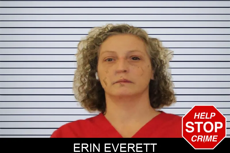 Erin Everett mugshot