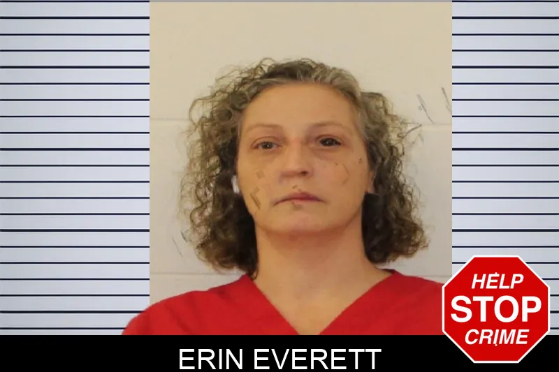 Erin Everett mugshot – Johnson County , Georgia Erin Everett mugshot
