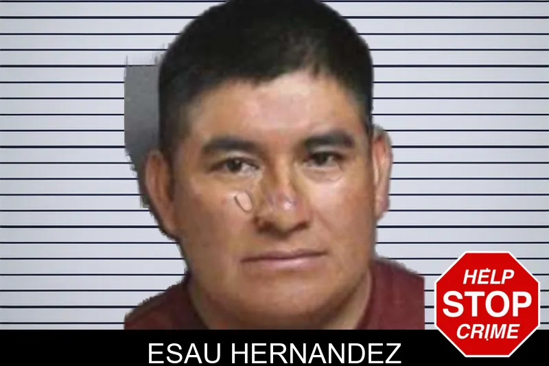 Esau Hernandez mugshot