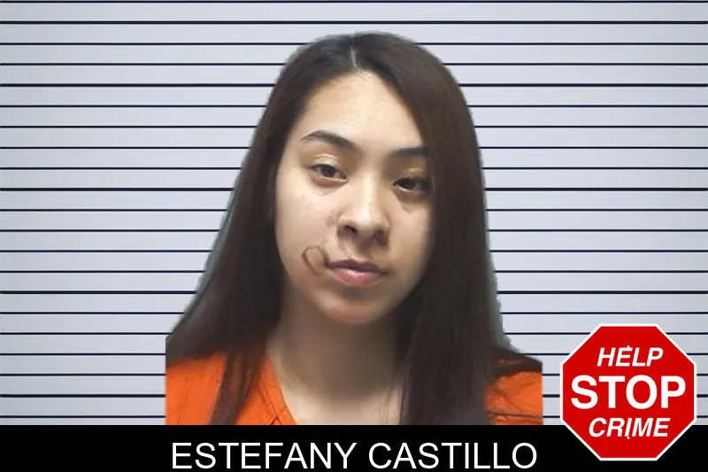 Estefany Castillo mugshot
