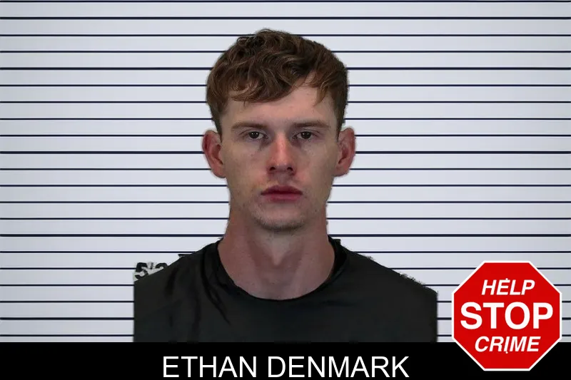 Ethan Denmark mugshot
