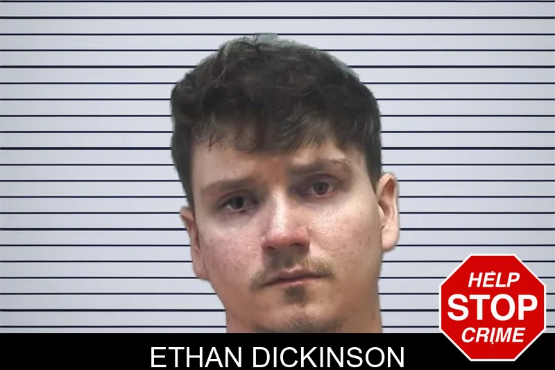 Ethan Dickinson mugshot