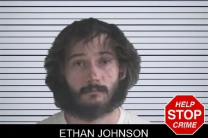 Ethan Johnson mugshot