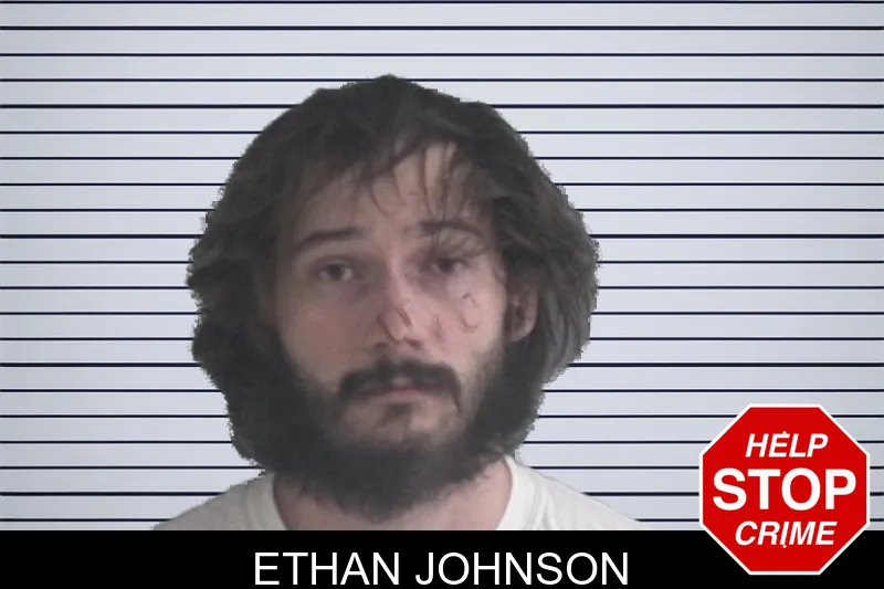 Ethan Johnson mugshot
