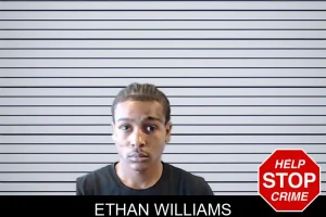 Ethan Williams mugshot