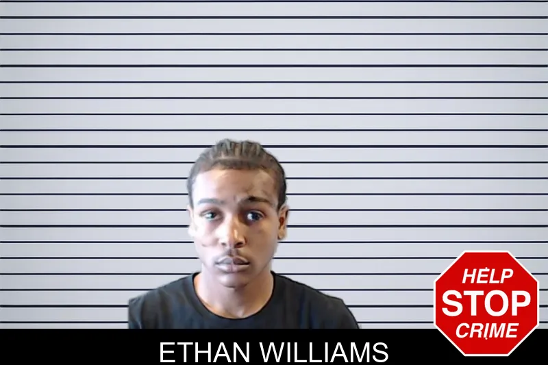 Ethan Williams mugshot