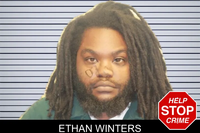 Ethan Winters mugshot