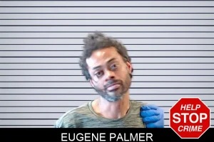 Eugene Palmer mugshot